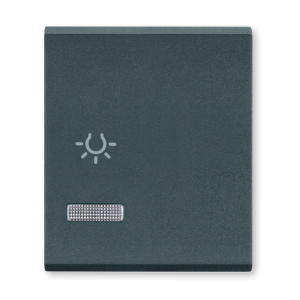 TASTER SKLOPKA IND.10A 6590I.A